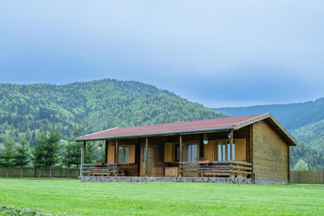Biotour Camping & Restaurant Ghimeş-Făget المظهر الخارجي الصورة