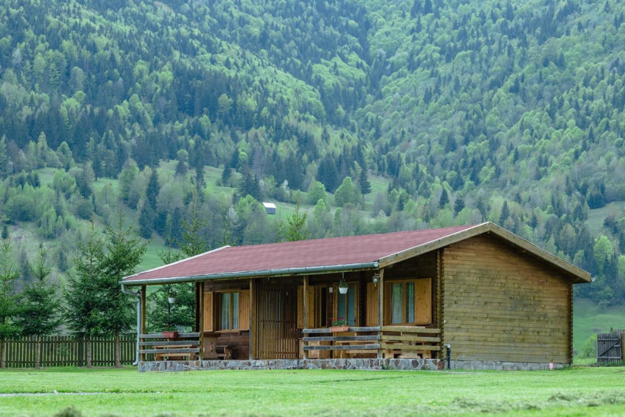 Biotour Camping & Restaurant Ghimeş-Făget المظهر الخارجي الصورة